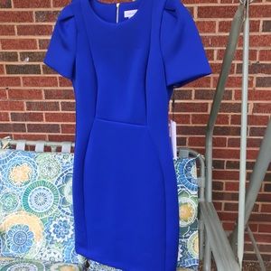 Calvin Klein royal blue dress